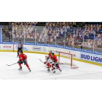 Rockford IceHogs play in front of fan cutouts