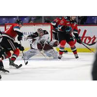 Vancouver Giants goaltender Trent Miner
