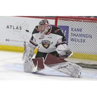 Vancouver Giants goaltender Trent Miner