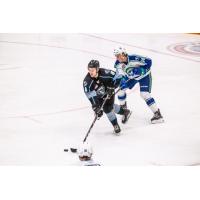 Winnipeg ICE defenceman Nolan Orzeck
