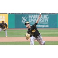 Brandon Fry pitching for the New Britain Bees