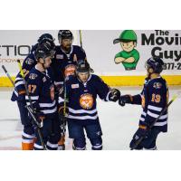 Greenville Swamp Rabbits celebrate a goal