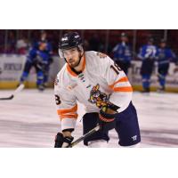Greenville Swamp Rabbits forward Shawn Cameron