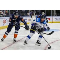 Greenville Swamp Rabbits vs. the Jacksonville Icemen