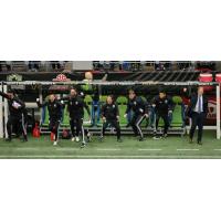 Seattle Sounders FC assistant coaches