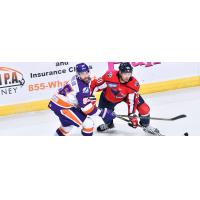 South Carolina Stingrays defenseman Casey Johnson (right) vs. the Orlando Solar Bears