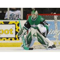 Texas Stars goaltender Colton Point