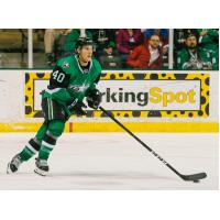 Texas Stars defenseman Taylor Fedun