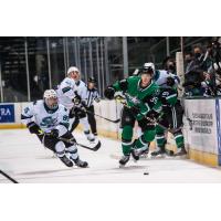 Texas Stars defenseman Jerad Rosburg vs. the San Jose Barracuda