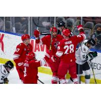Allen Americans celebrate a Krystof Hrabik goal vs. the Utah Grizzlies