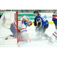 Saint John Sea Dogs vs. the Moncton Wildcats
