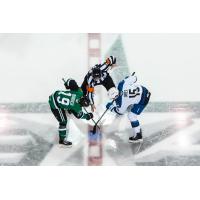 Texas Stars face off with the Colorado Eagles