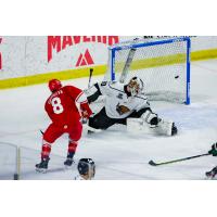 Joseph Garreffa of the Allen Americans scores in overtime to beat the Utah Grizzlies