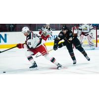 Grand Rapids Griffins defenseman Donovan Sebrango
