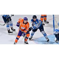 Orlando Solar Bears forward Tad Kozun vs. the Jacksonville Icemen