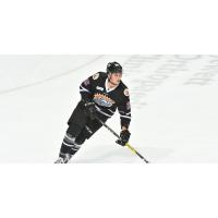 Orlando Solar Bears forward Mason Marchment
