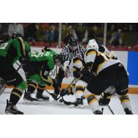 Brandon Wheat Kings vs. the Prince Albert Raiders