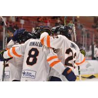 Greenville Swamp Rabbits gather after a goal