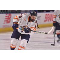 Greenville Swamp Rabbits forward David Broll