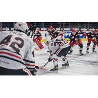 Grand Rapids Griffins face off with the Rockford IceHogs