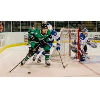 Texas Stars center Josh Melnick vs. the Colorado Eagles