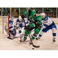 Texas Stars left wing Riley Tufte vs. the Colorado Eagles