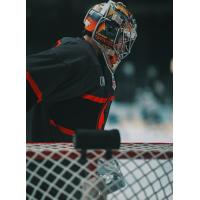 Youngstown Phantoms goaltender Colin Purcell