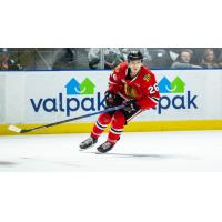 Portland Winterhawks right wing Mason Mannek
