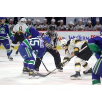 Swift Current Broncos centre Raphael Pelletier faces off with the Brandon Wheat Kings