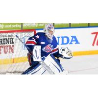 Rochester Americans goaltender Michael Houser
