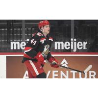Grand Rapids Griffins defenseman Dennis Cholowski