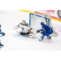 Stefan Fournier of the Wichita Thunder scores against the Wheeling Nailers