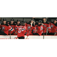 Fabian Zetterlund along the Binghamton Devils bench