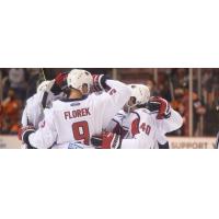 South Carolina Stingrays celebrate a goal