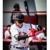 Jakob Newton of the Thunder Bay Border Cats