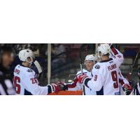 South Carolina Stingrays celebrate a goal against the Fort Wayne Komets