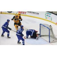 Wheeling Nailers score against the Wichita Thunder