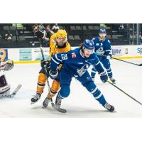 Wichita Thunder defenseman Dean Stewart vs. the Wheeling Nailers
