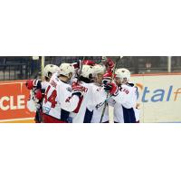 South Carolina Stingrays react after a goal against the Fort Wayne Komets
