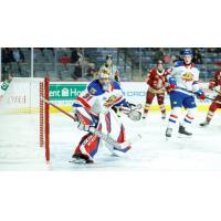 Moncton Wildcats goaltender Vincent Filion