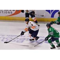 Greenville Swamp Rabbits forward Anthony Rinaldi