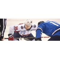 South Carolina Stingrays forward Dan DeSalvo