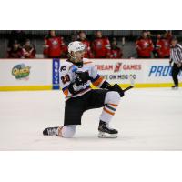 Lehigh Valley Phantoms forward Max Willman reacts after a goal