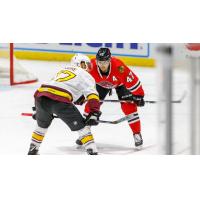 Rockford IceHogs right wing John Quenneville (47) vs. the Chicago Wolves