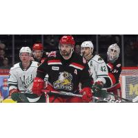 Grand Rapids Griffins defenseman Brian Lashoff vs. the Iowa Wild