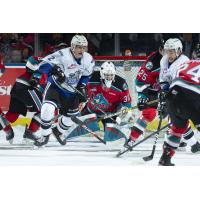 Kelowna Rockets battle the Victoria Royals