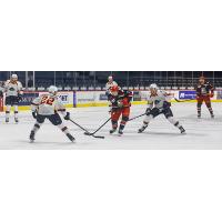 Grand Rapids Griffins handle the puck against the Cleveland Monsters