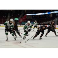 Texas Stars Falter battle the Cleveland Monsters
