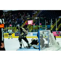 Wheeling Nailers defenseman Patrick McNally vs. the Florida Everblades