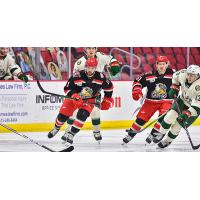 Grand Rapids Griffins right wing Riley Barber (left) and center Kyle Criscuolo vs. the Iowa Wild
